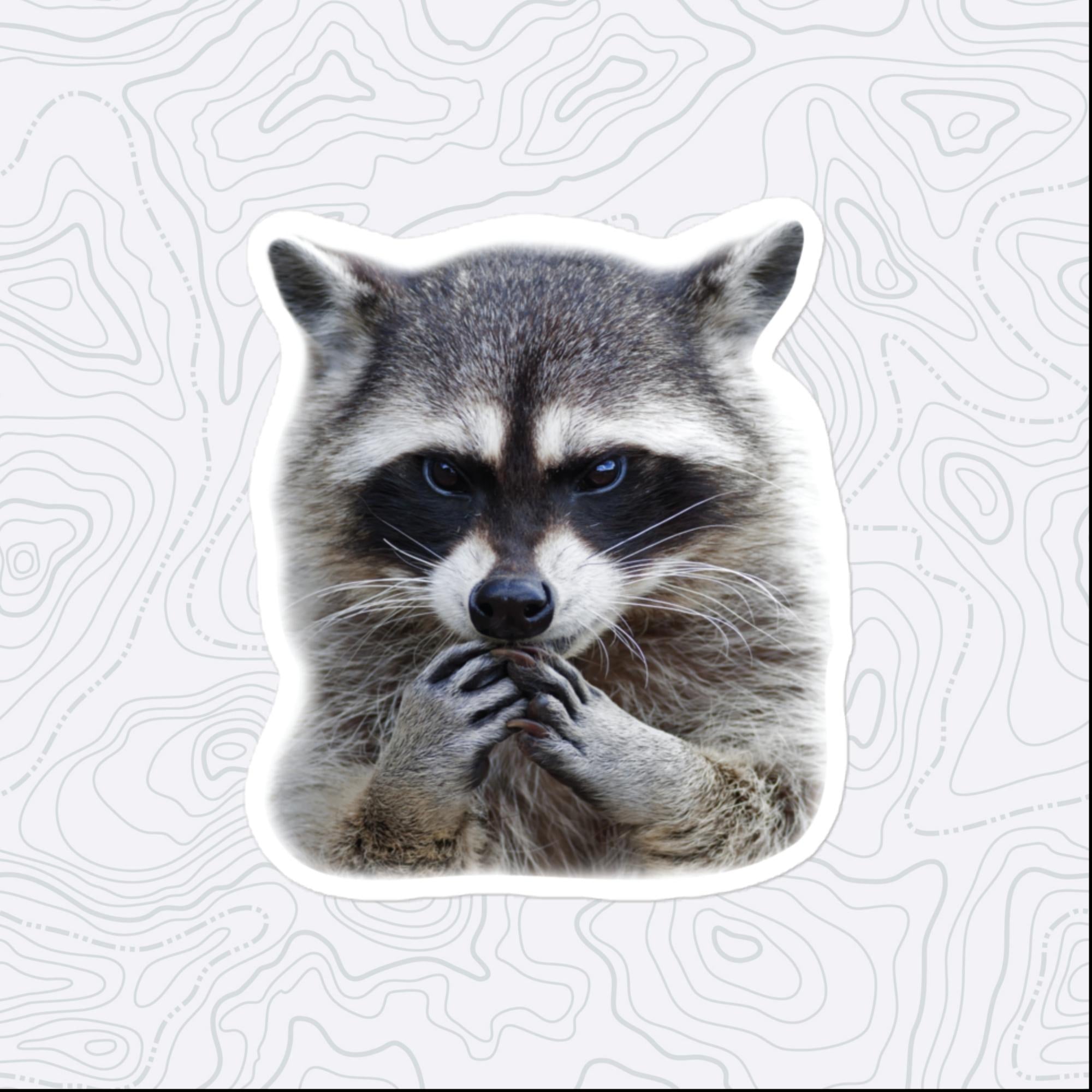 Raccoon Sticker, Large 4in Vinyl Sticker