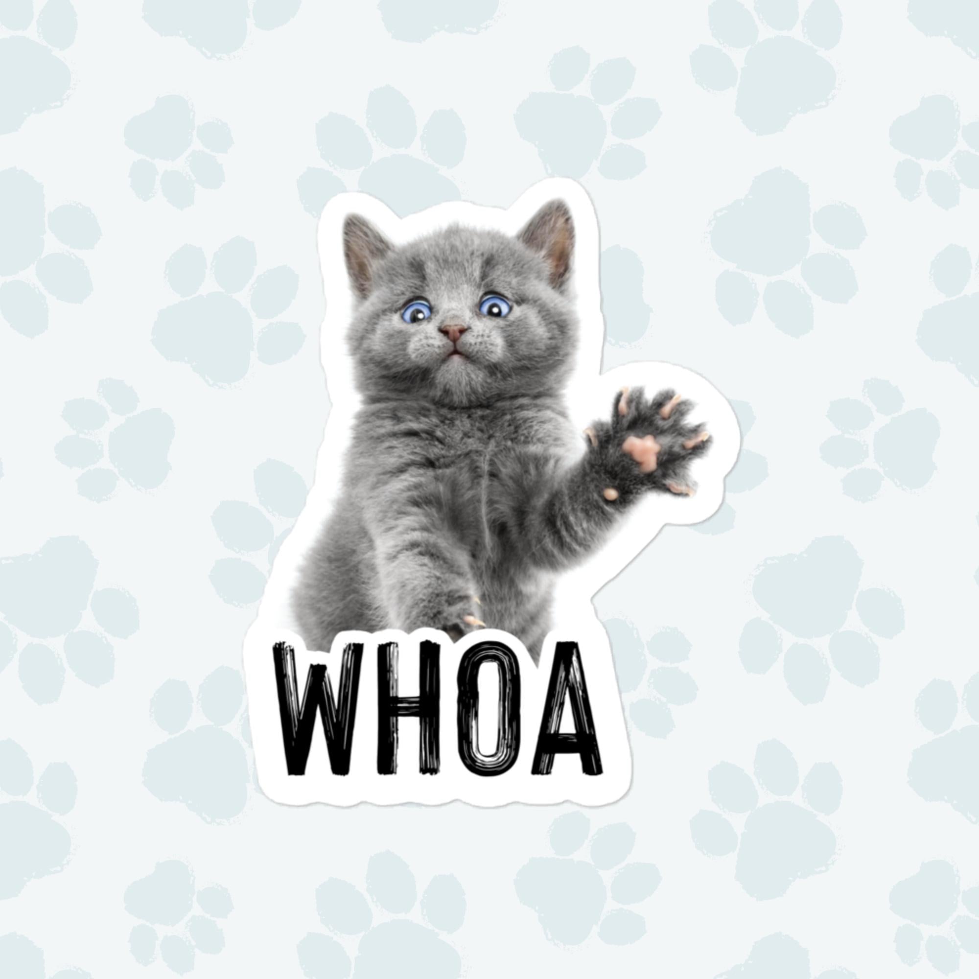 Whoa Cat Sticker, Large 4in Vinyl Sticker