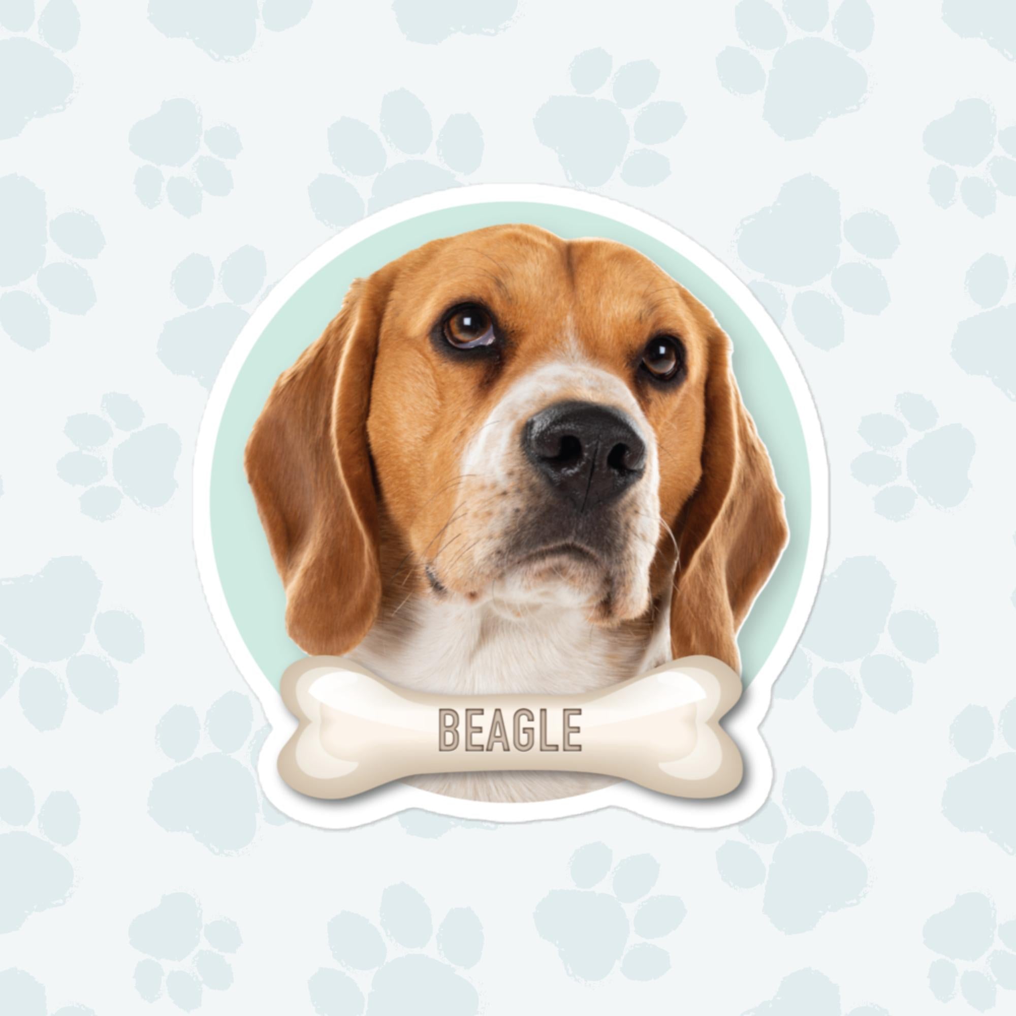 Beagle Sticker, Large 4in Vinyl Sticker