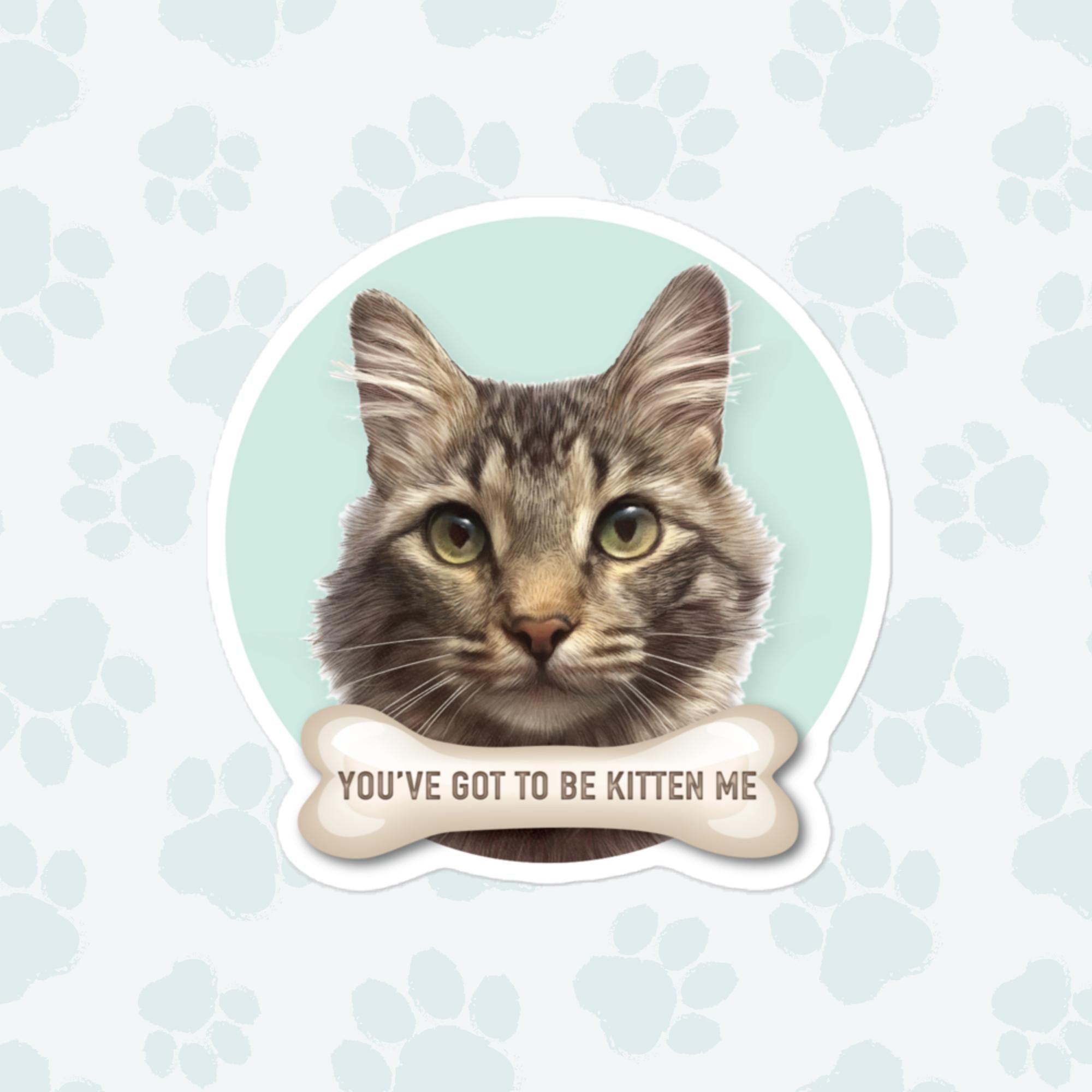 You've Got To Be Kitten Me Sticker, Large 4in Vinyl Sticker