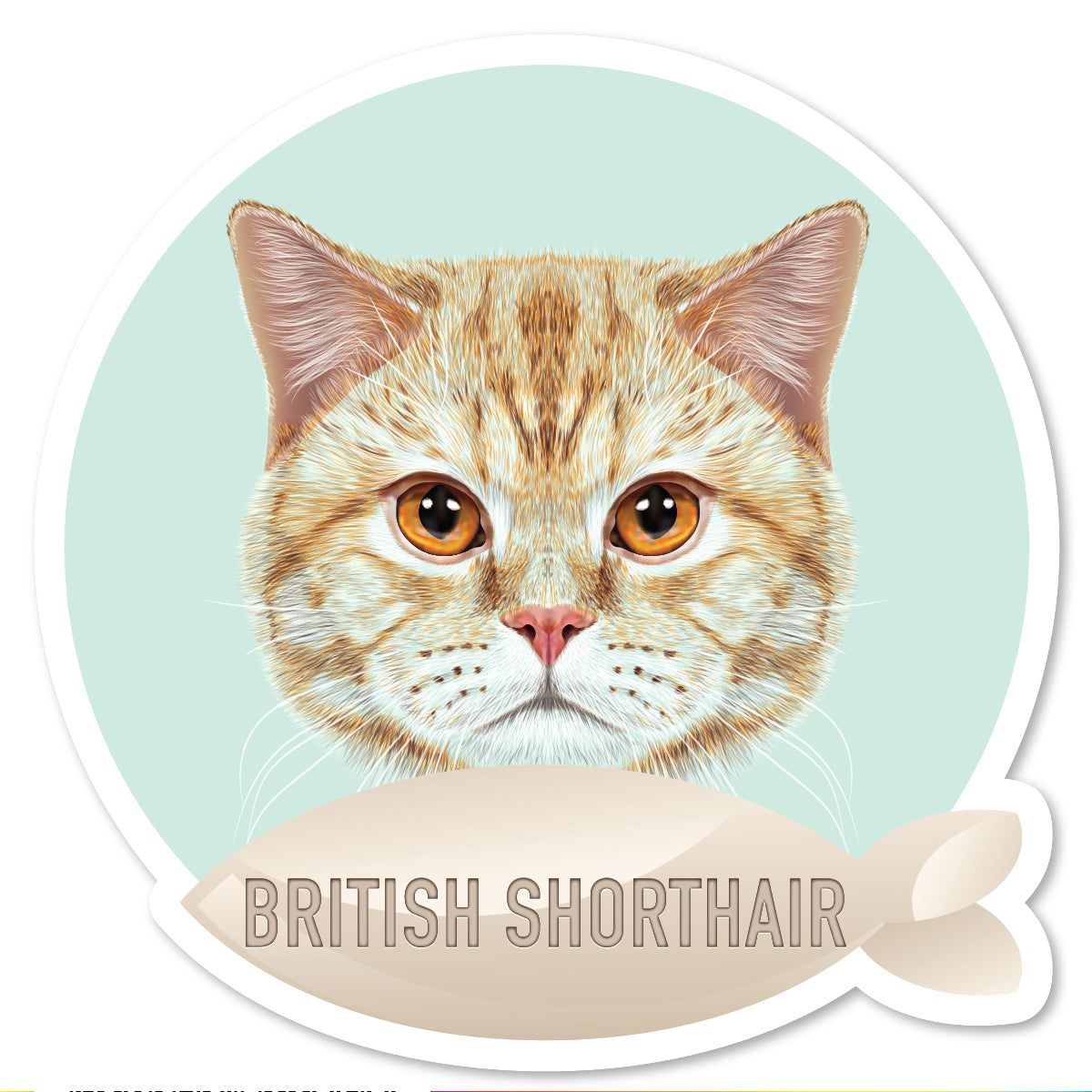 DP-029 | British Shorthair Orange