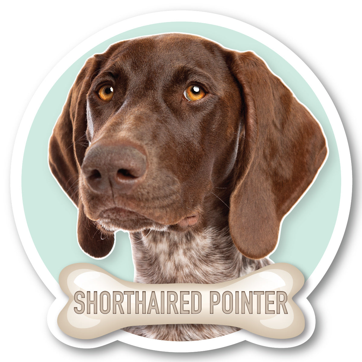 Shorthair Pointer Vinyl Sticker