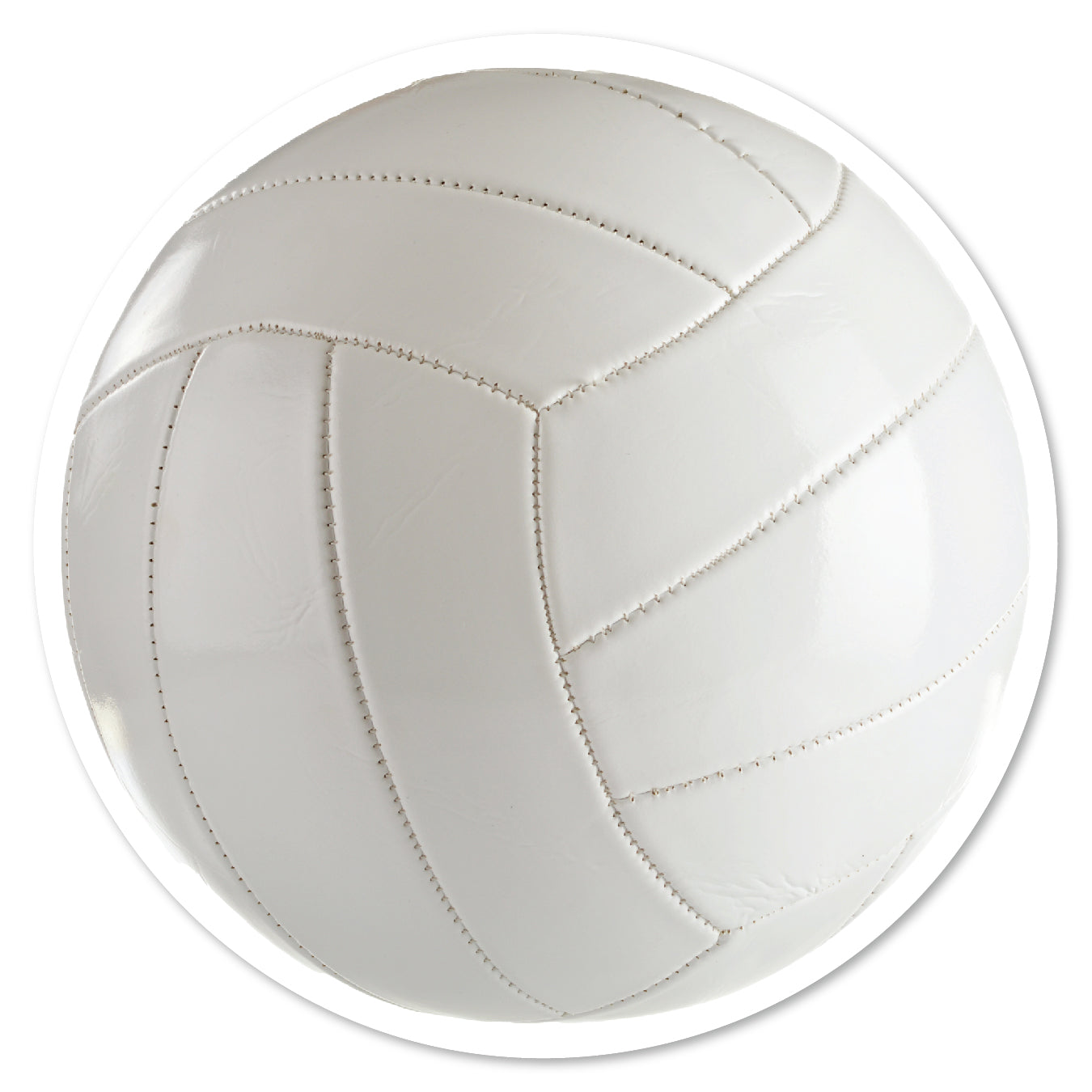 SP5-134 | Volley Ball