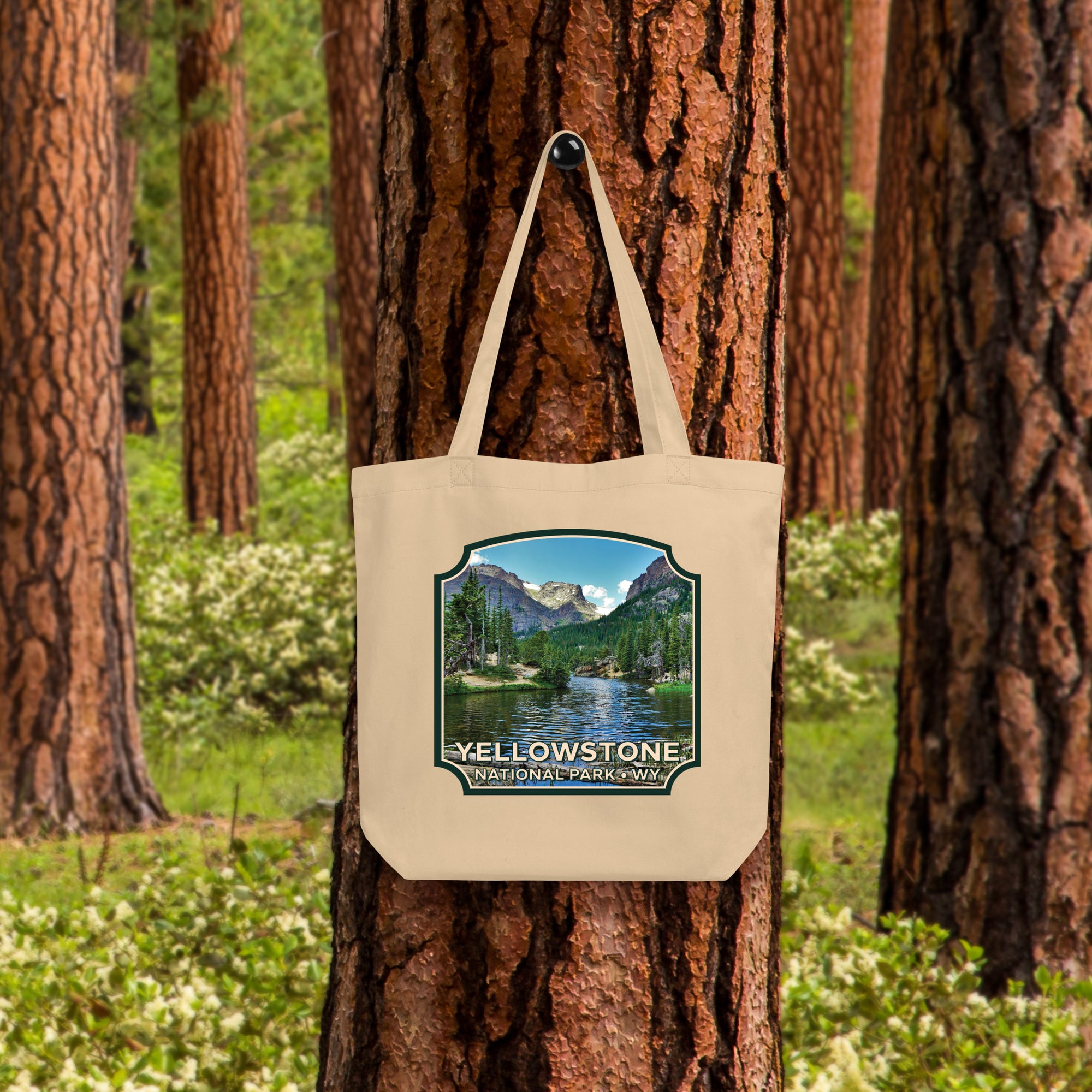 a bag hanging from a tree in a forest