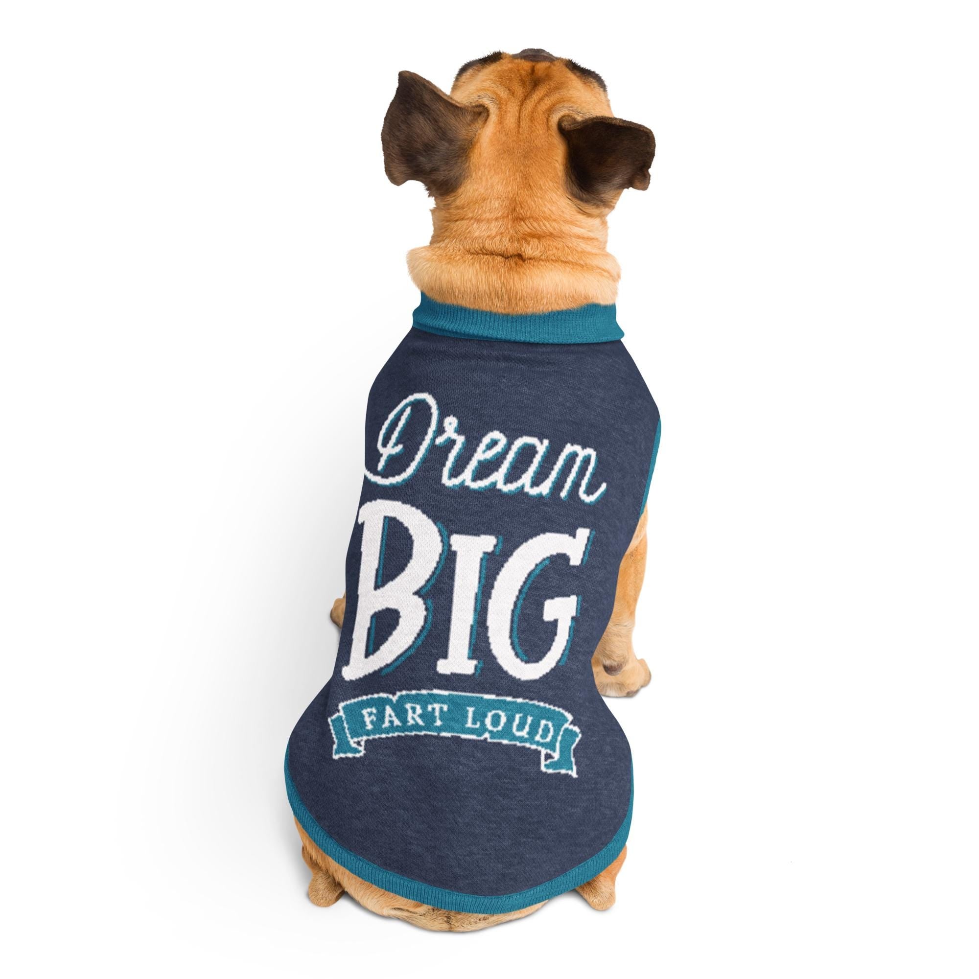 A dog wearing a blue sweater with the text "Dream Big Fart Loud" printed on it.
