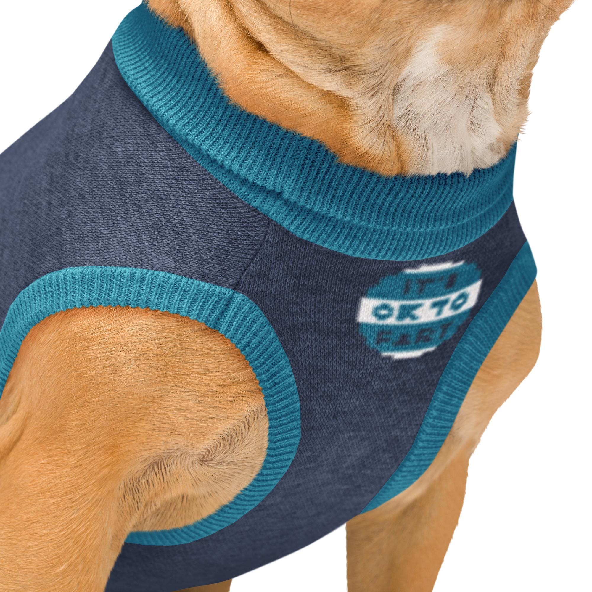 A close-up of a dog wearing a blue and teal sweater with a white and blue logo on the front.
