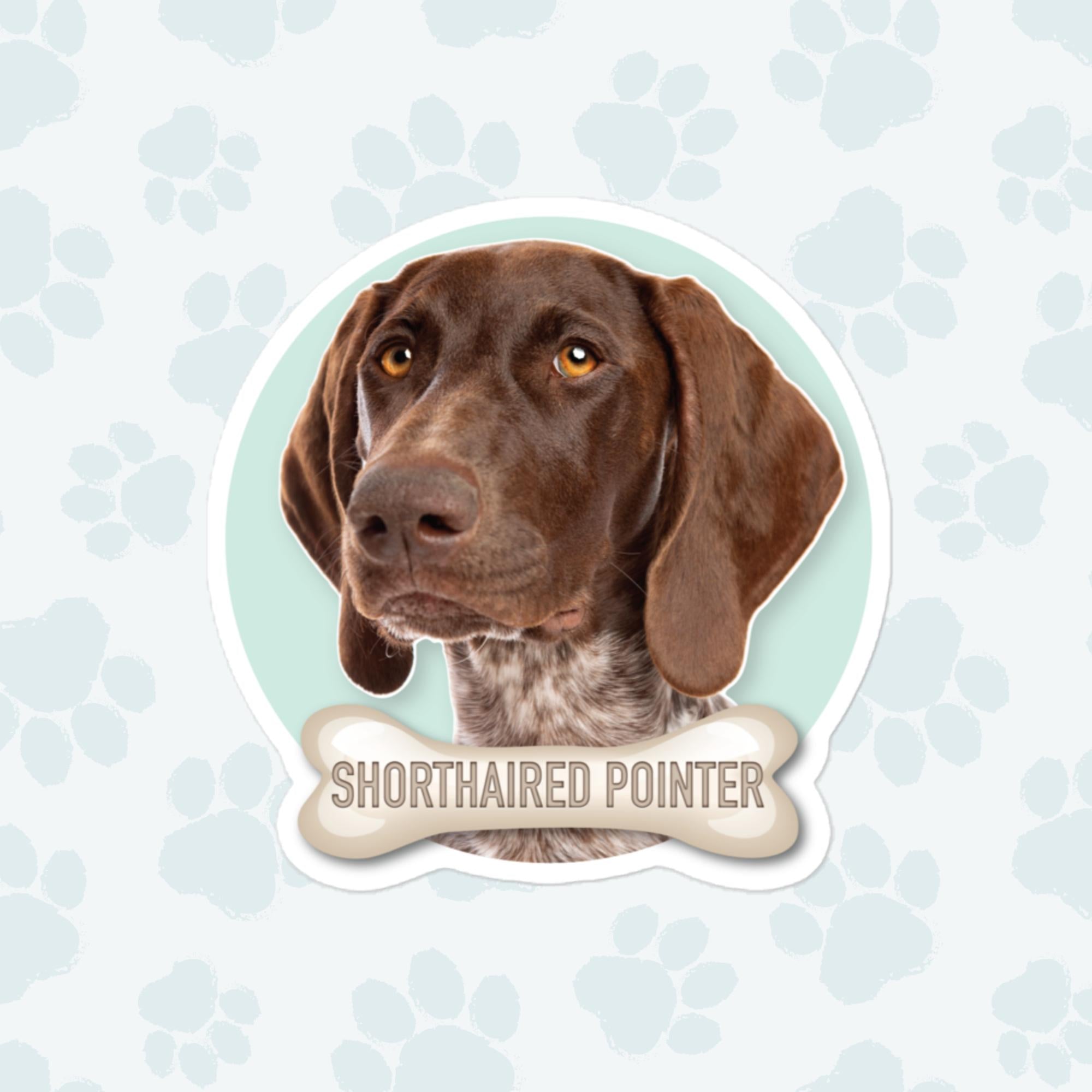 Shorthaired Pointer Sticker, Large 4in Vinyl Sticker