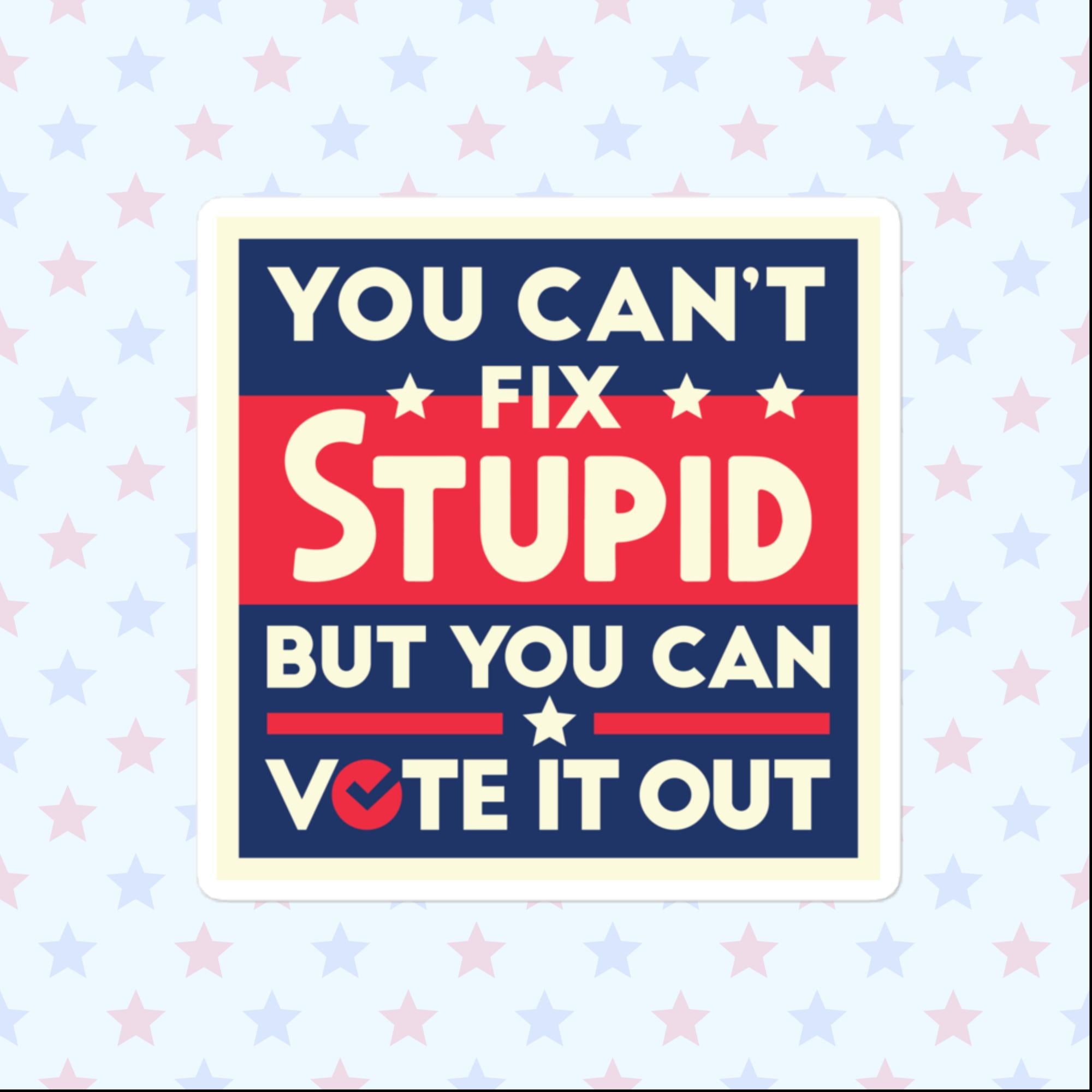 You Can't Fix Stupid Sticker, Large 4in Vinyl Sticker