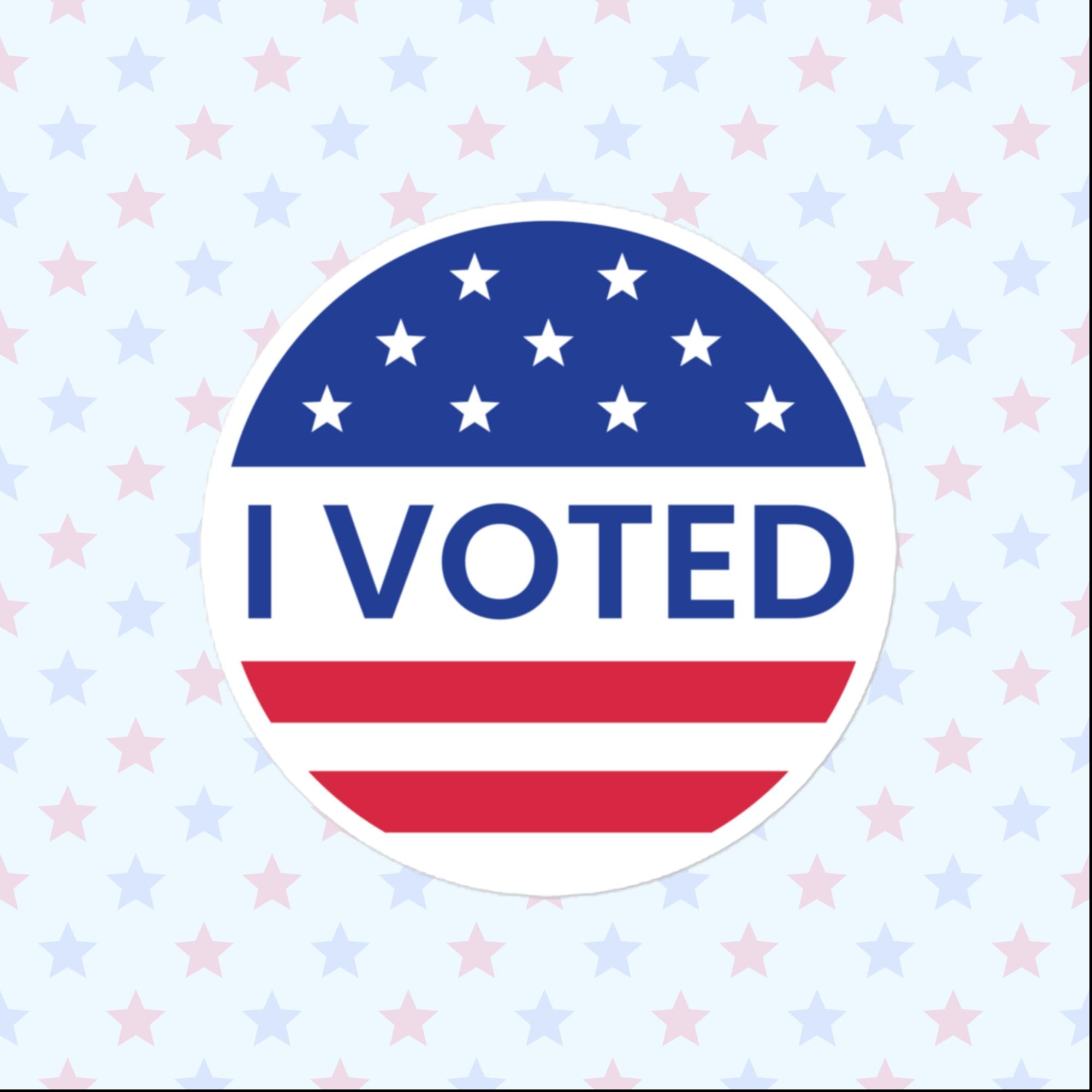 I Voted Sticker Sticker, Large 4in Vinyl Sticker