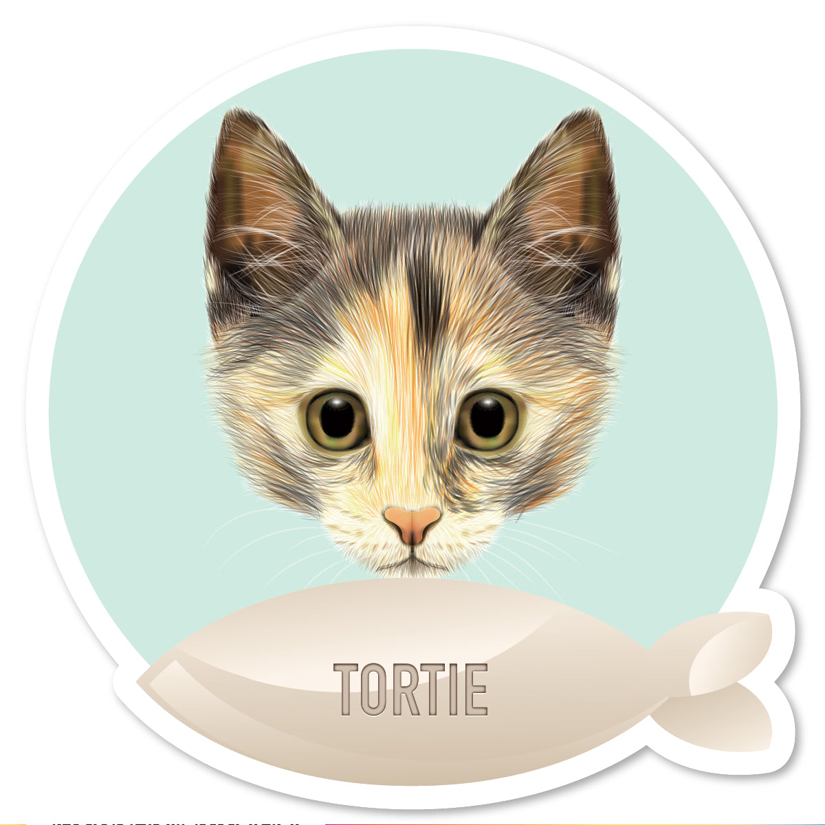 DP-032 | Tortie