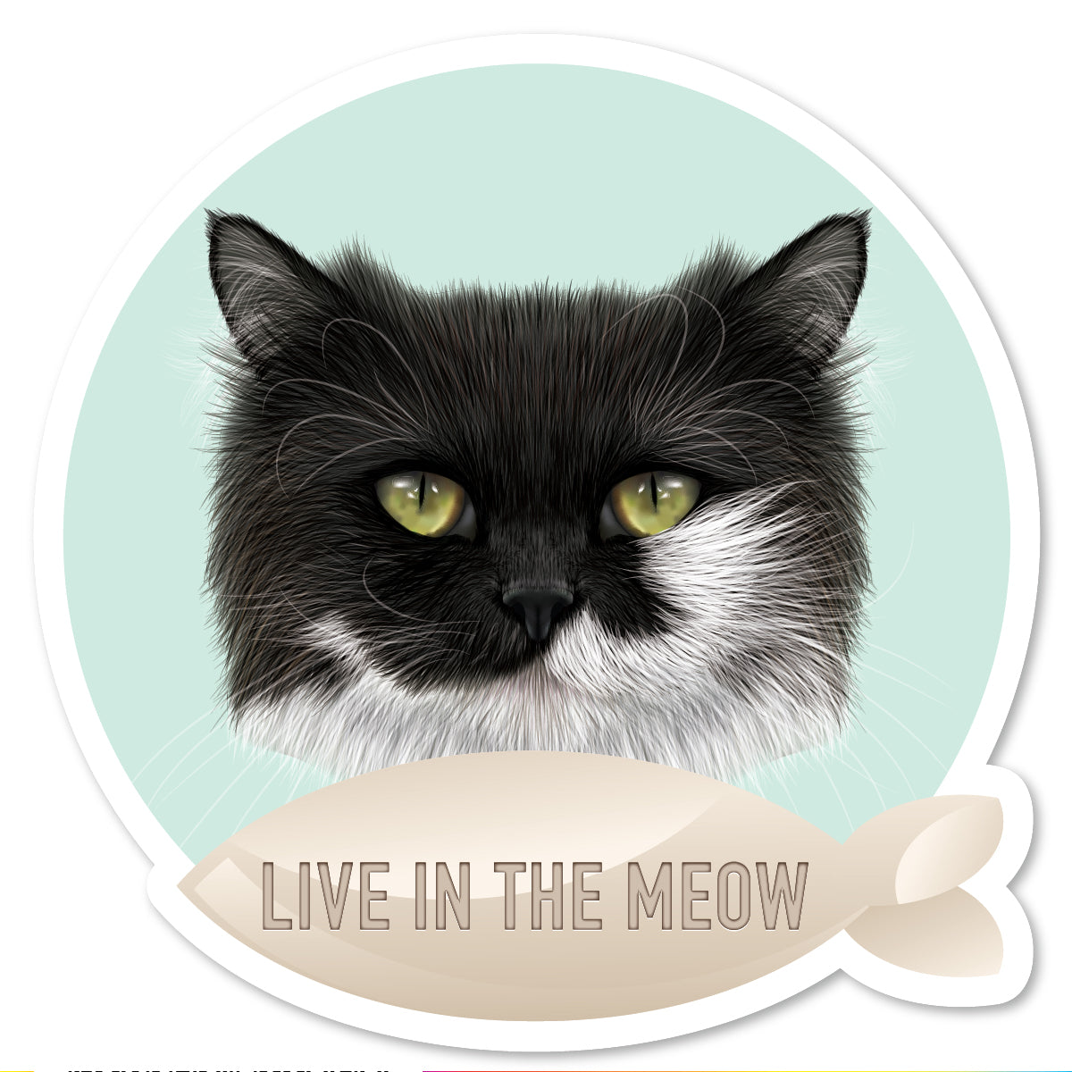 DP-034 | Live In The Meow
