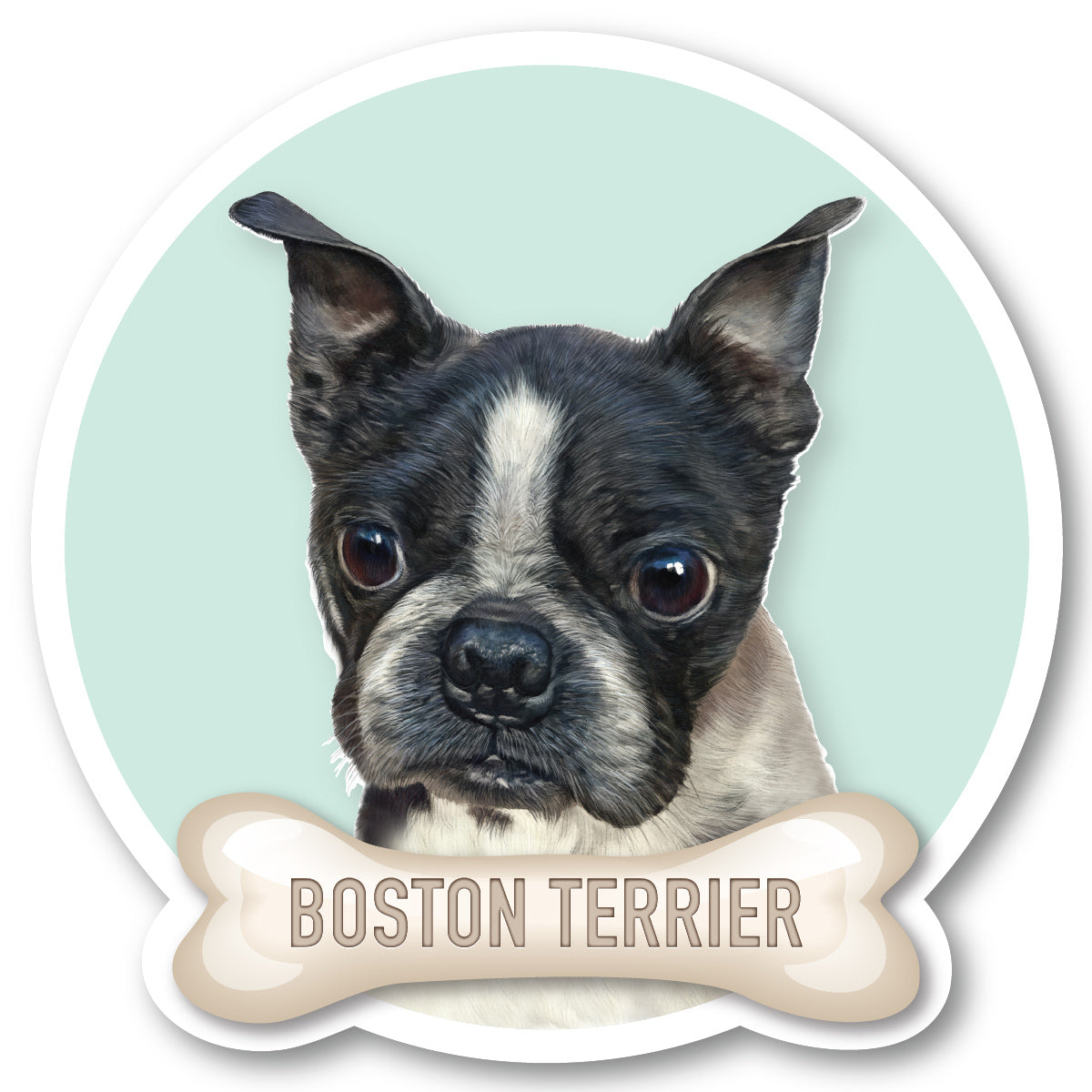 Boston Terrier 2 Vinyl Sticker