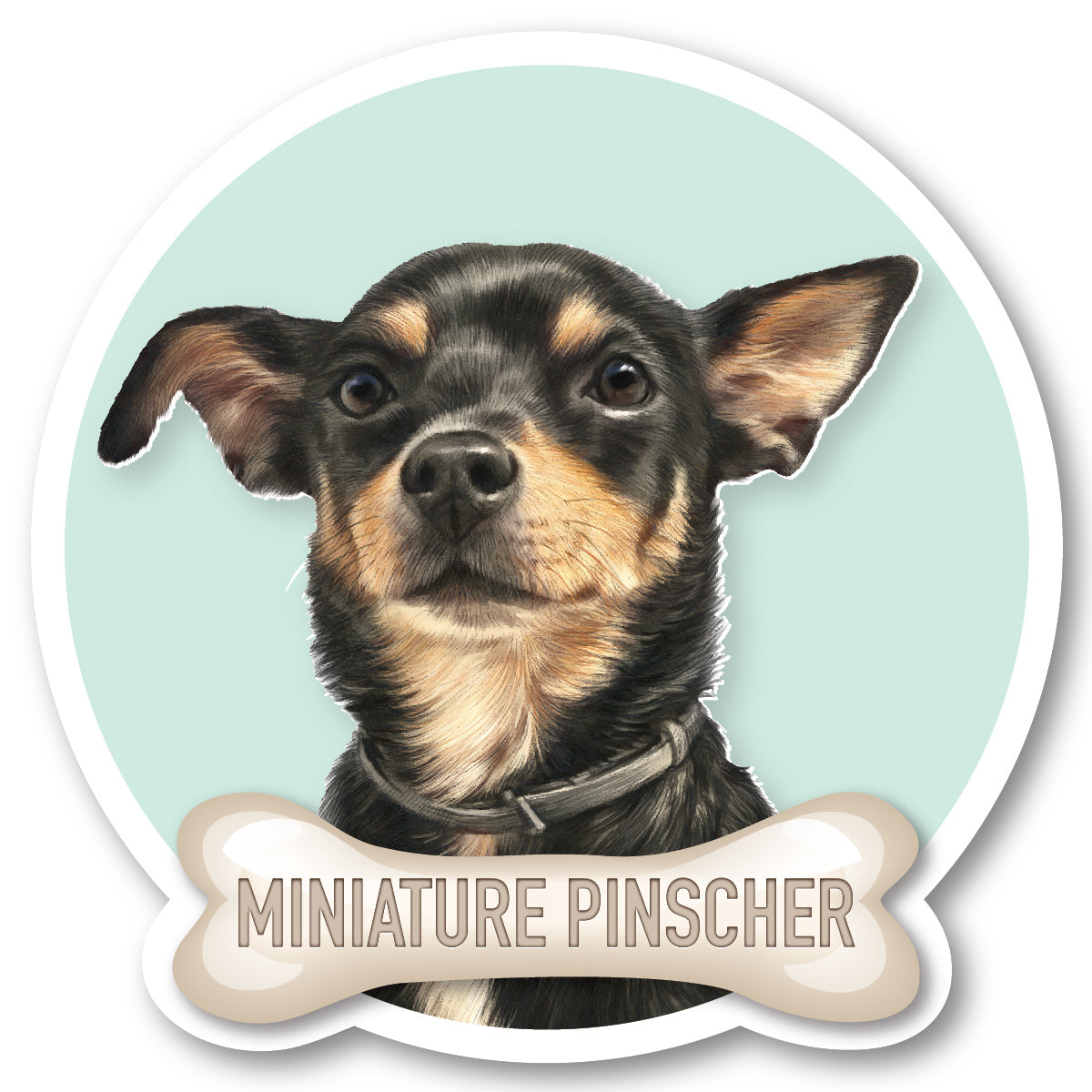 Miniature Pinscher 1 Vinyl Sticker