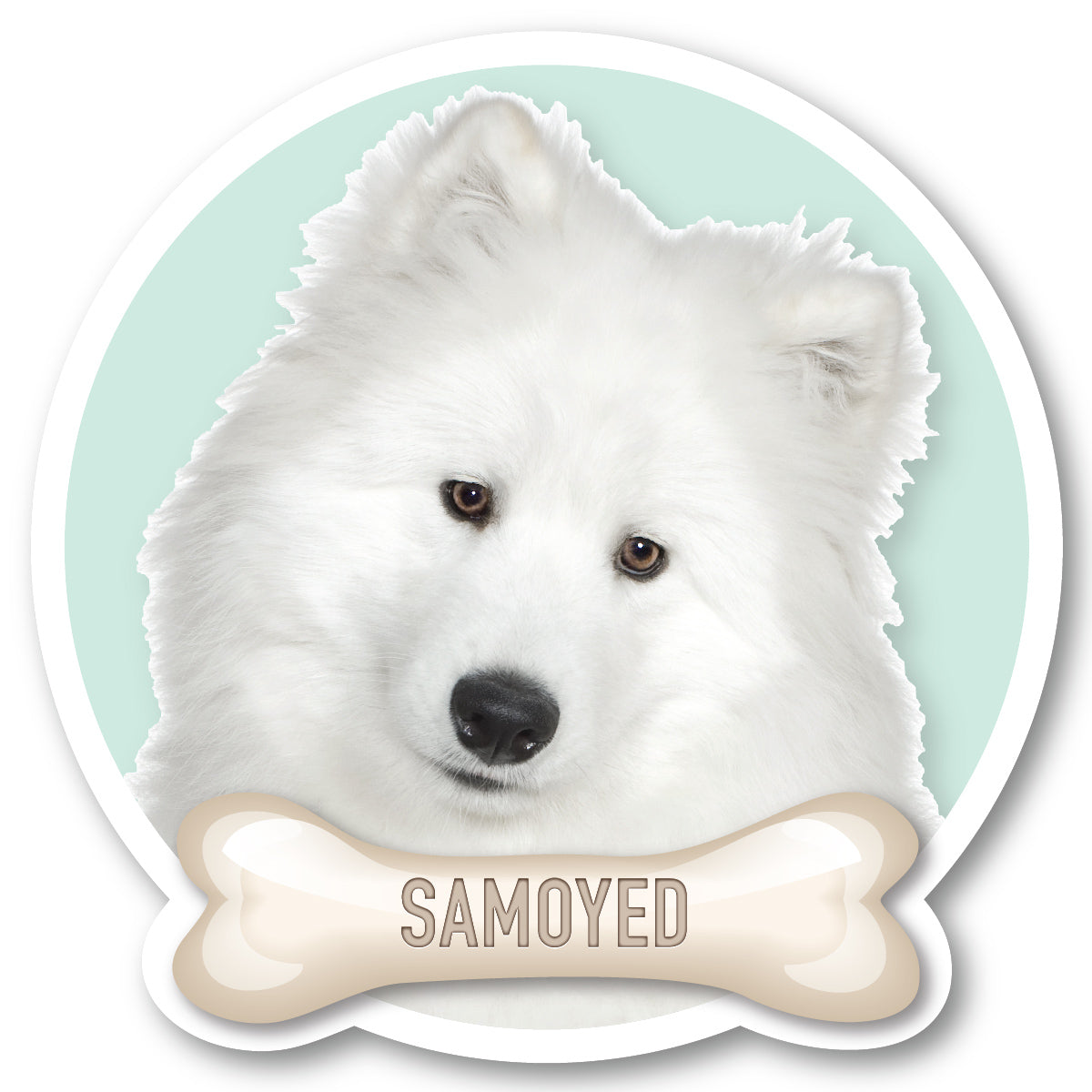 Samoyed Vinyl Sticker